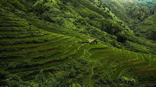 rondreis-vietnam